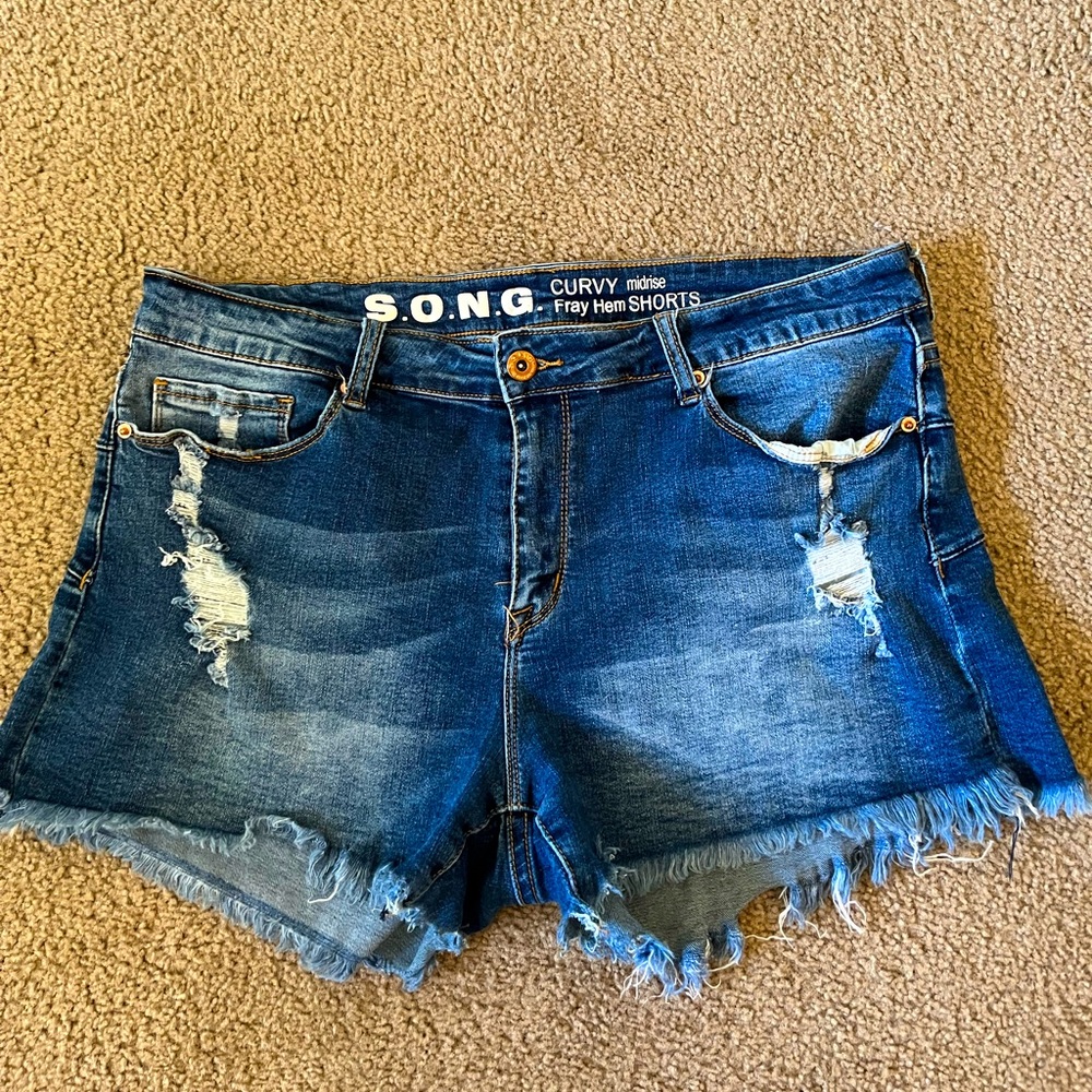 Curvy Shorts